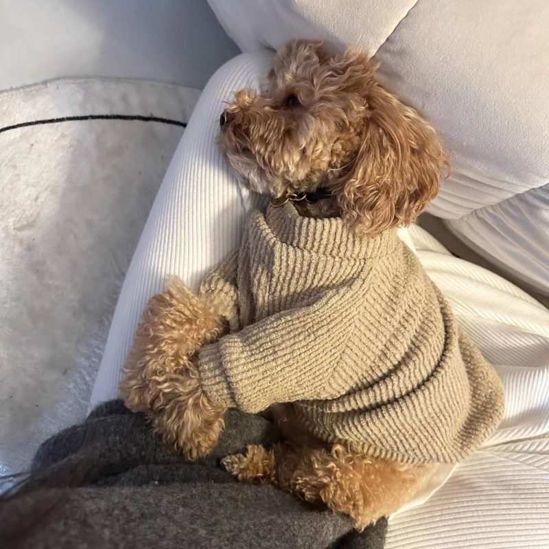 Cable Knit Dog Sweater