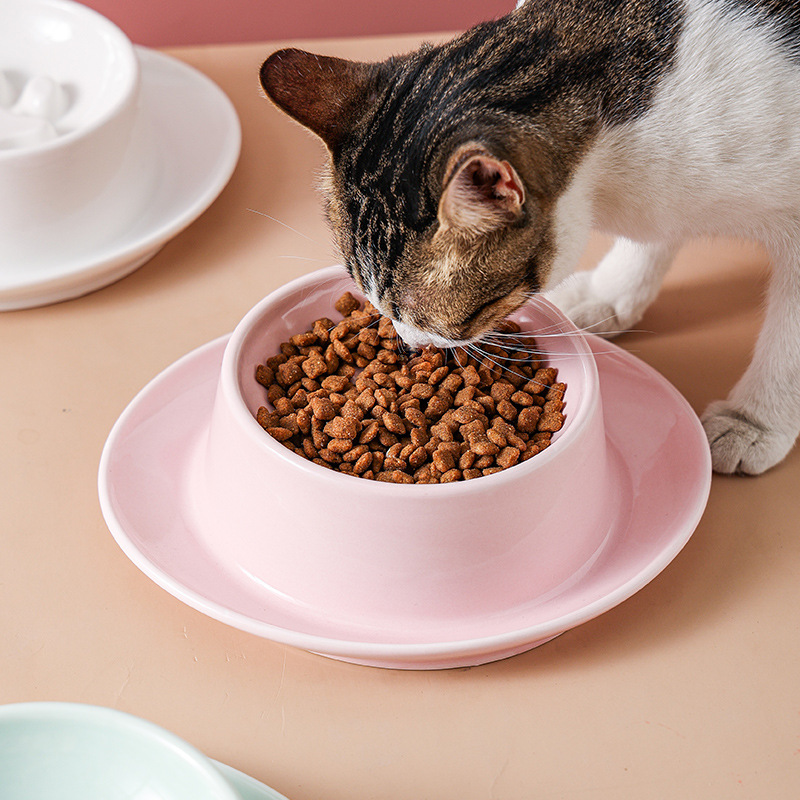 Ceramic Slow Feeder