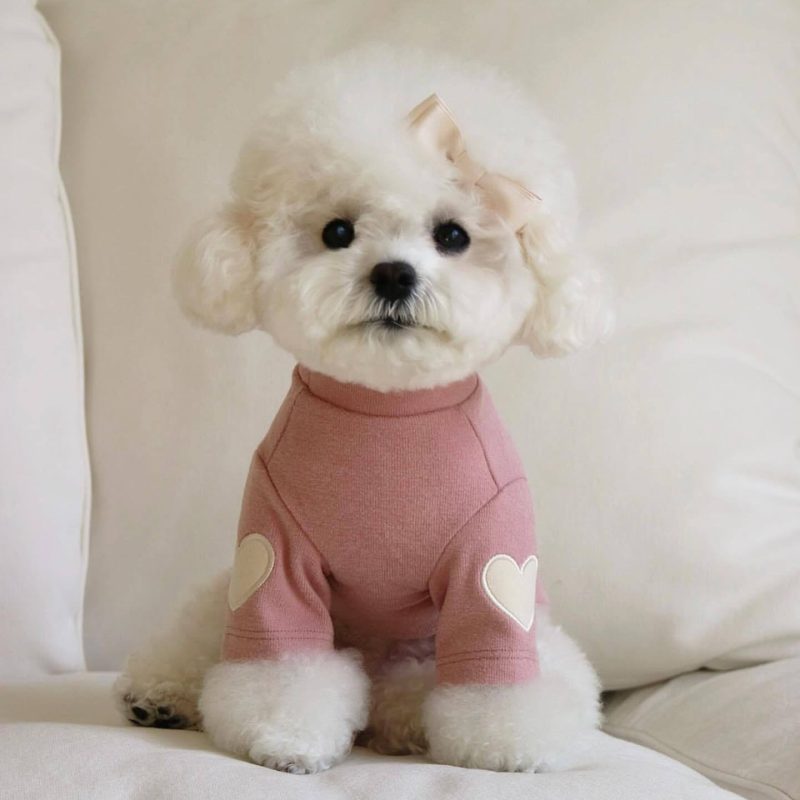 Fleece Dog Hoodie