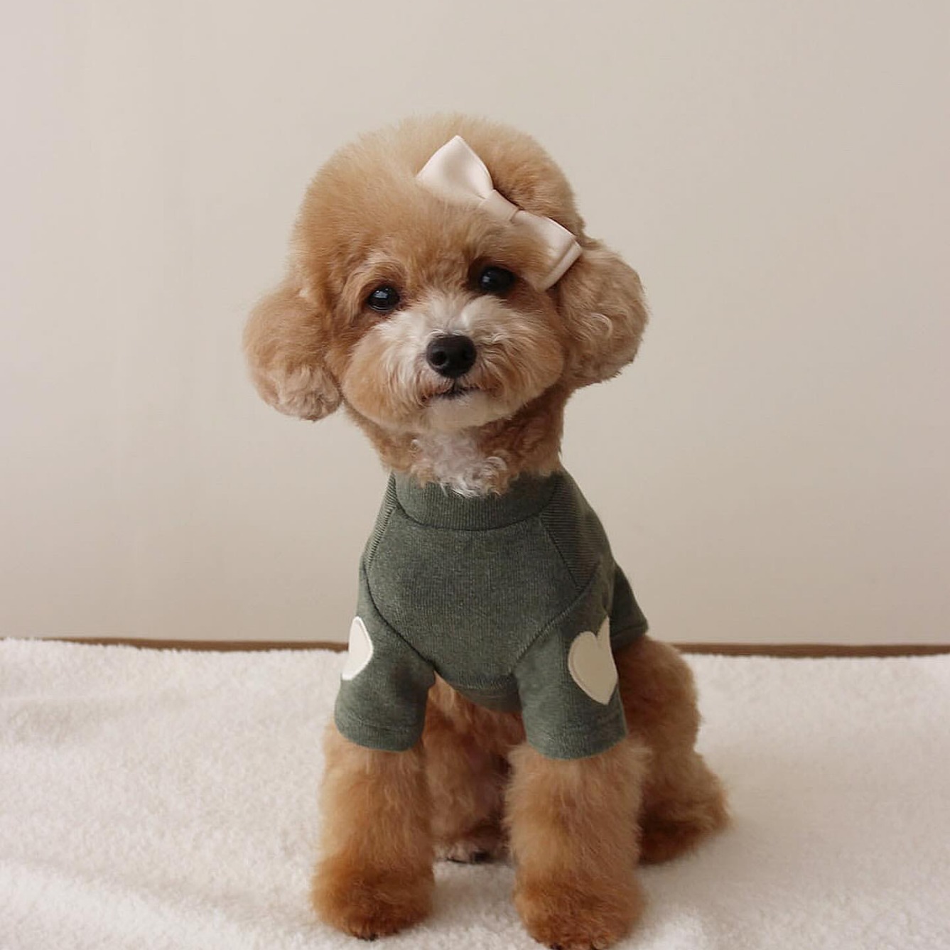 Fleece Dog Hoodie