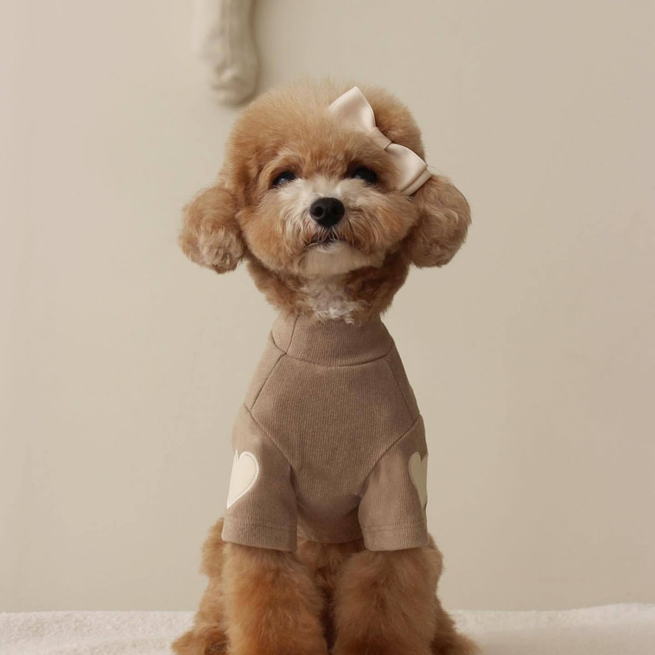 Fleece Dog Hoodie
