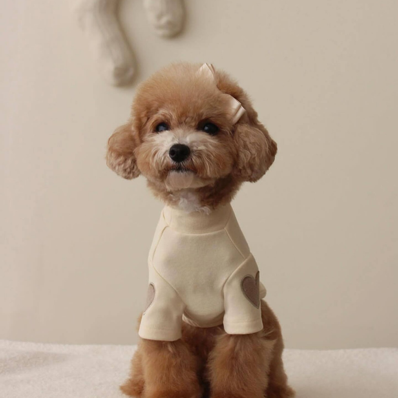 Fleece Dog Hoodie