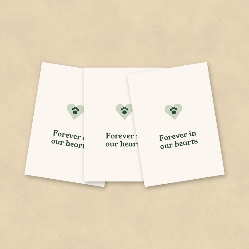 Pet Sympathy Cards, Set of 10