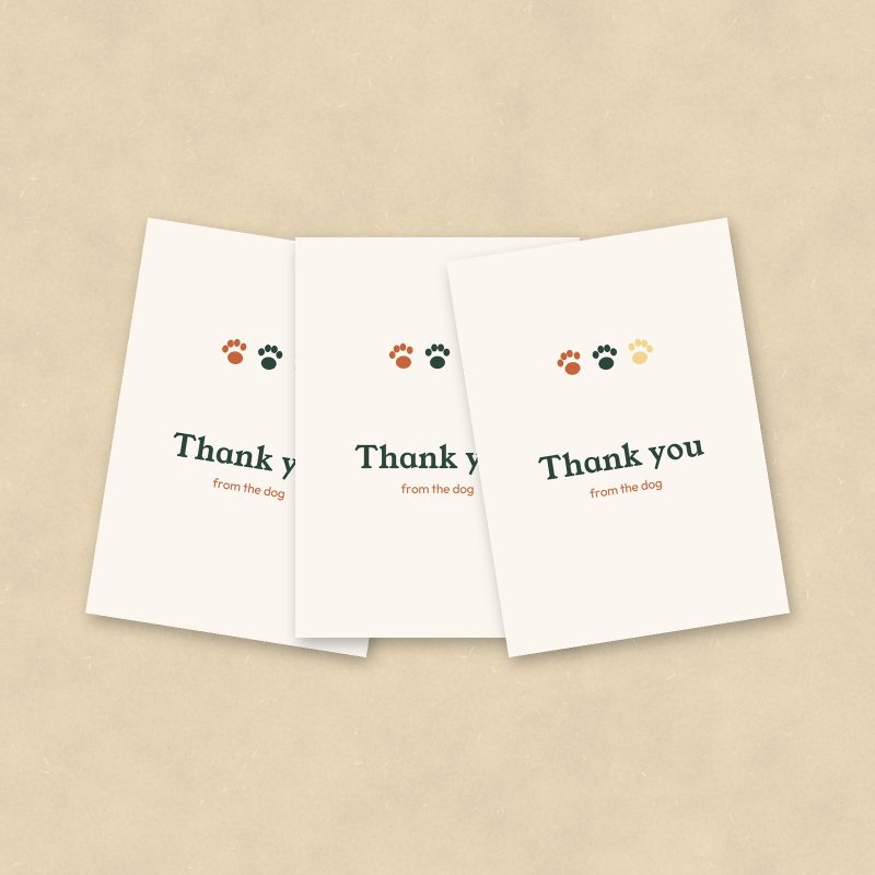 Thank You Cards from the Dog, Set of 10