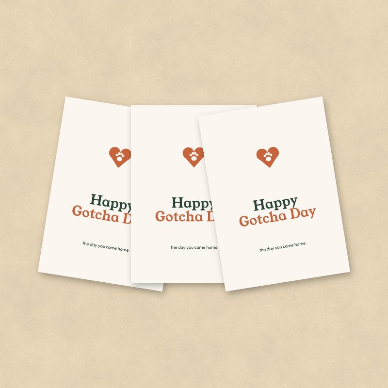 Happy Gotcha Day Cards, Set of 10