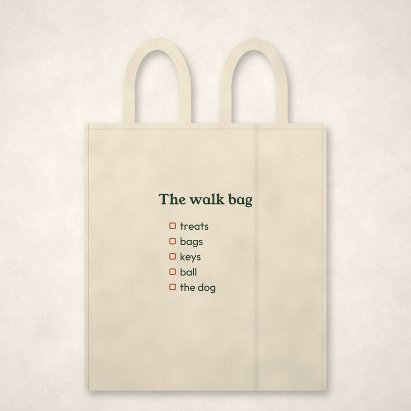 The Walk Bag Tote