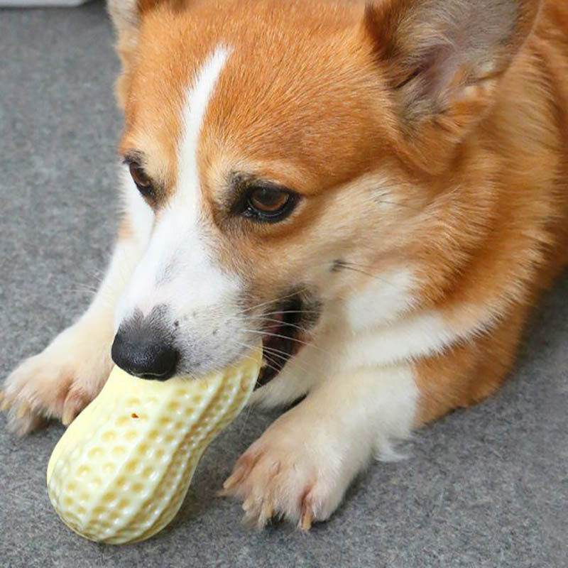 Peanut Squeaky Toys