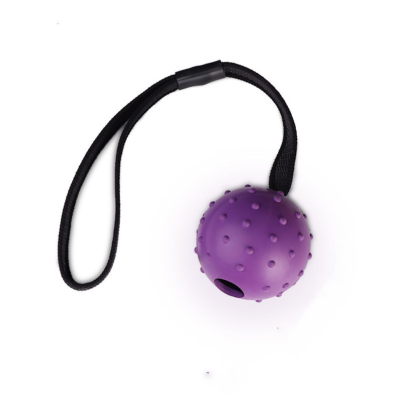 Rubber Ball on a Rope