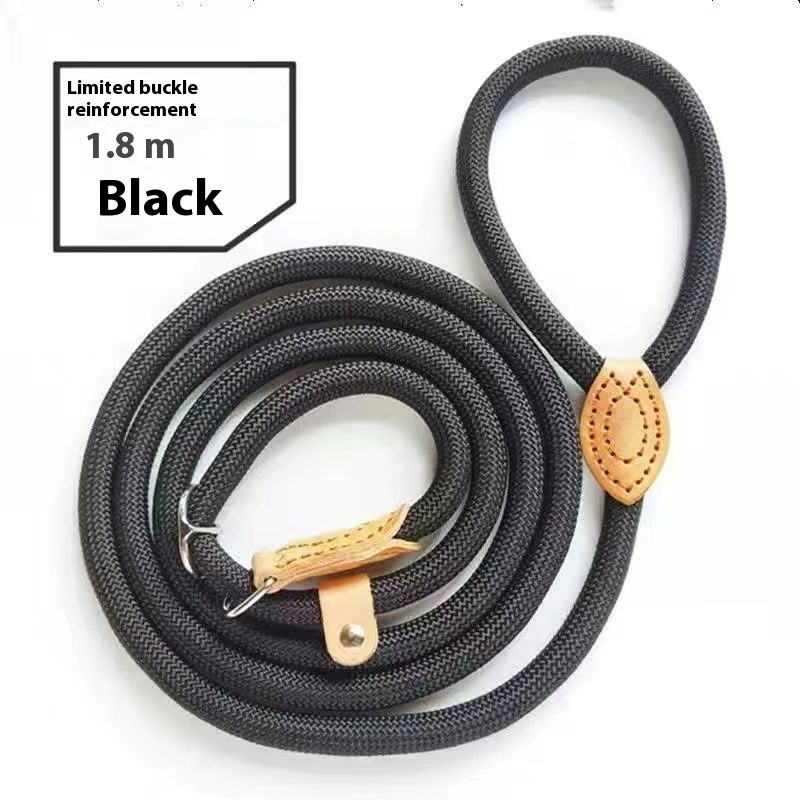 Slip Training Lead