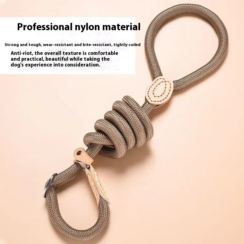 Slip Training Lead