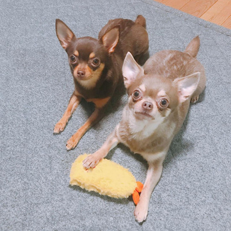 Tempura Shrimp Squeaky Toy