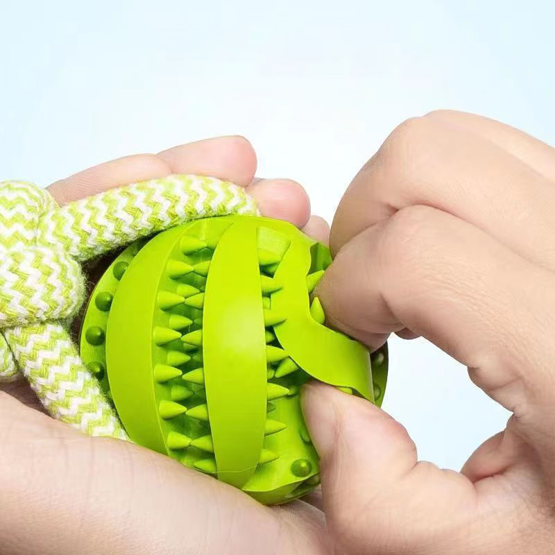 Treat Ball on a Rope