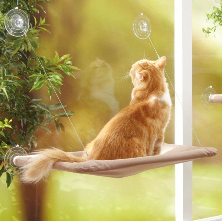 Window Seat for Cats