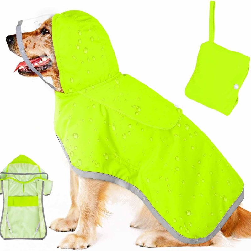 Yellow Dog Raincoat